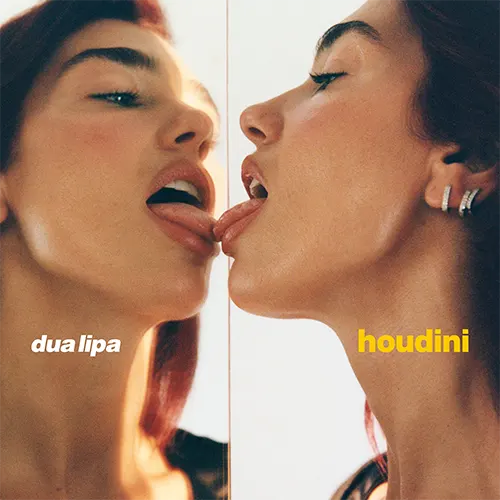 Dua Lipa — Houdini